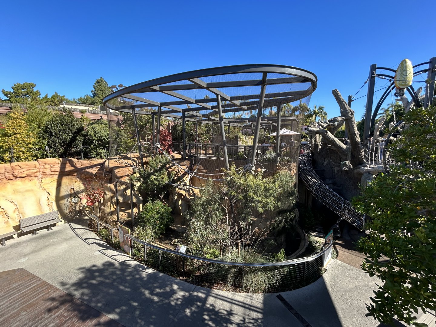 South American Coati Exhibit - Wildlife Explorers Basecamp