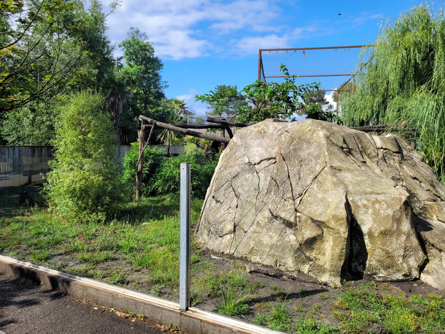 South American coati exhibit -Zoo du bassin d'Arcachon (2024)
