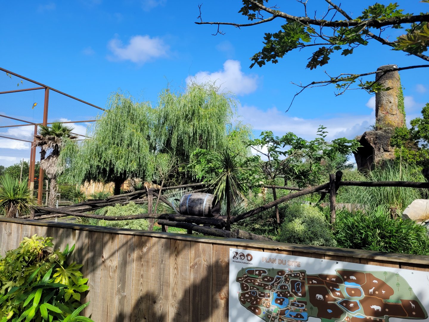 South American coati exhibit -Zoo du bassin d'Arcachon (2024)