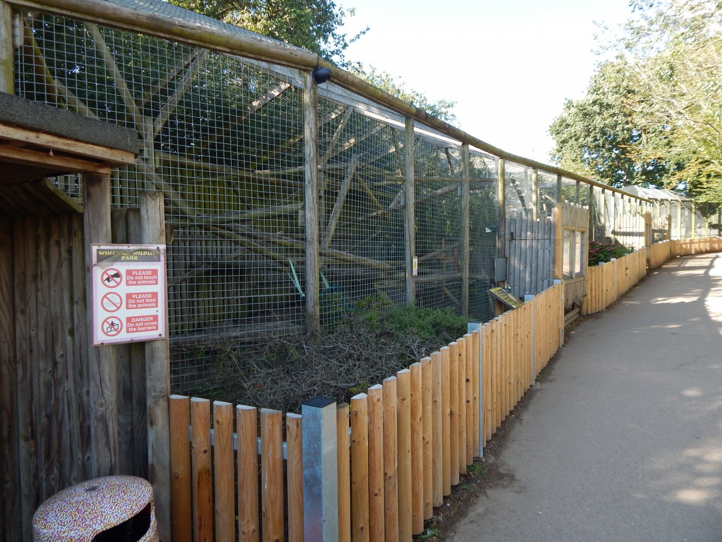 South American coati habitat 030924