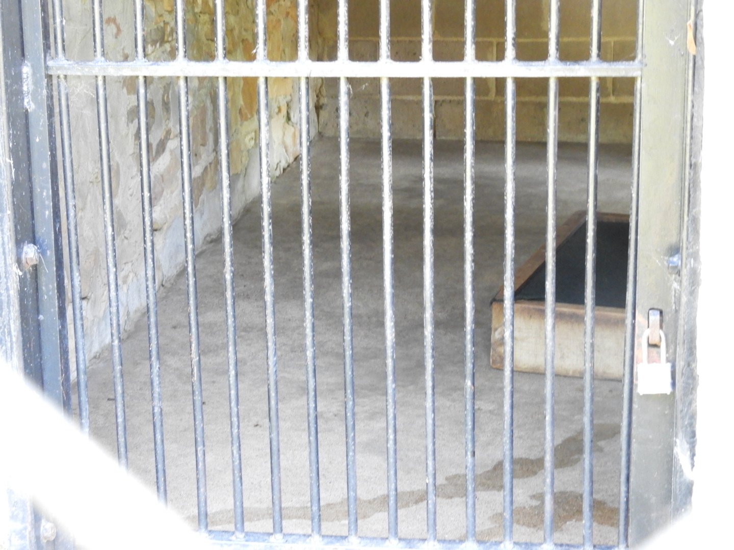 South American Coati indoor exhibit - Wisconsin Rapids Municipal Zoo