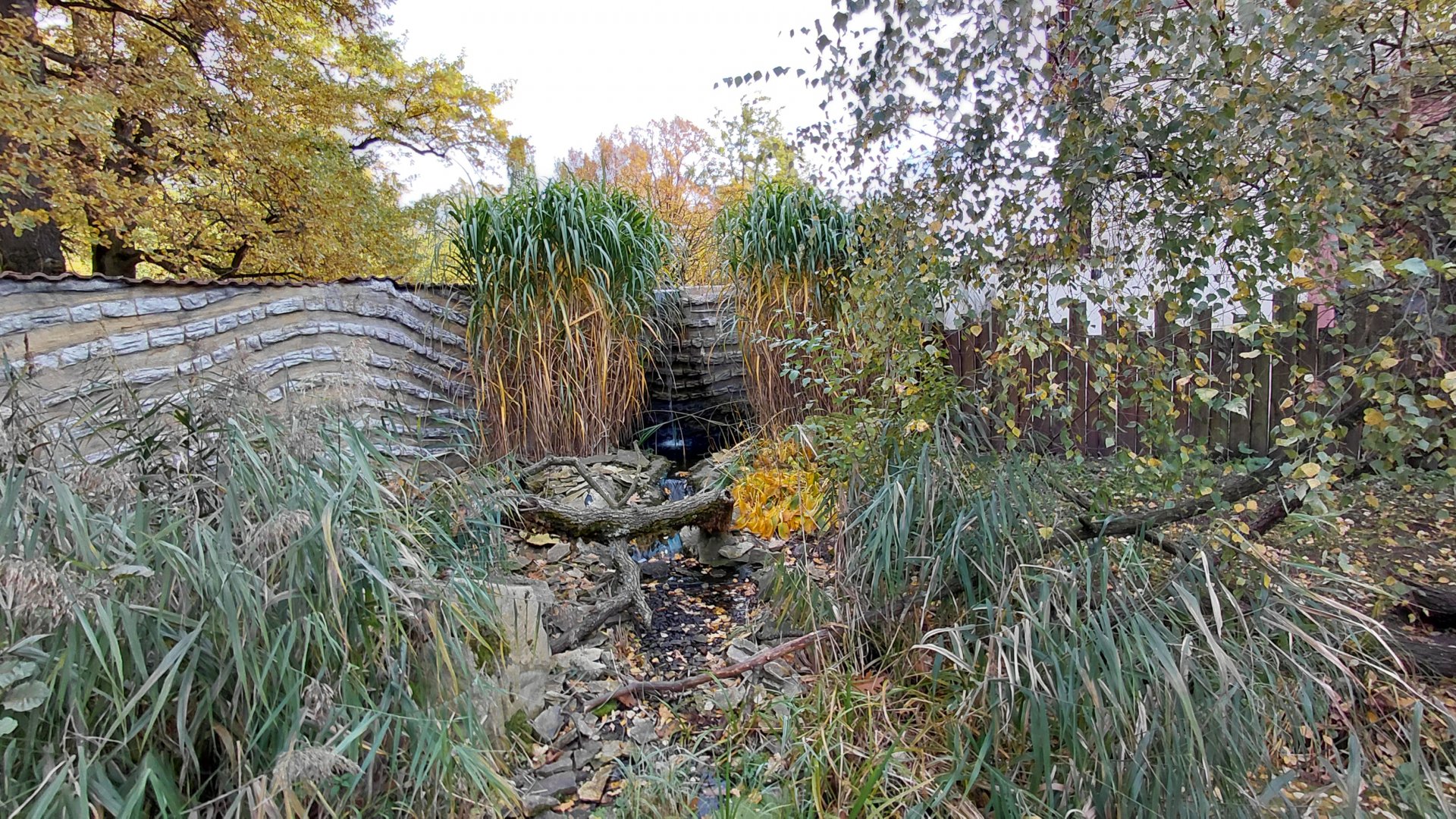 South American coati outdoor exhibit
