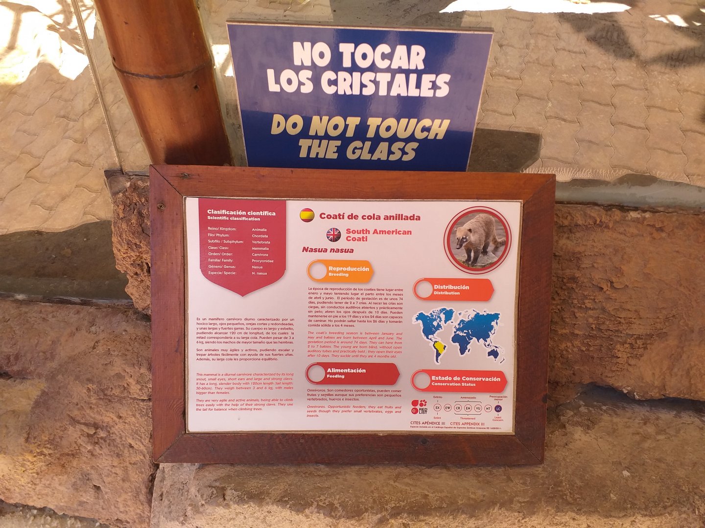 South American coati sign -MundoMar Benidorm (2021)