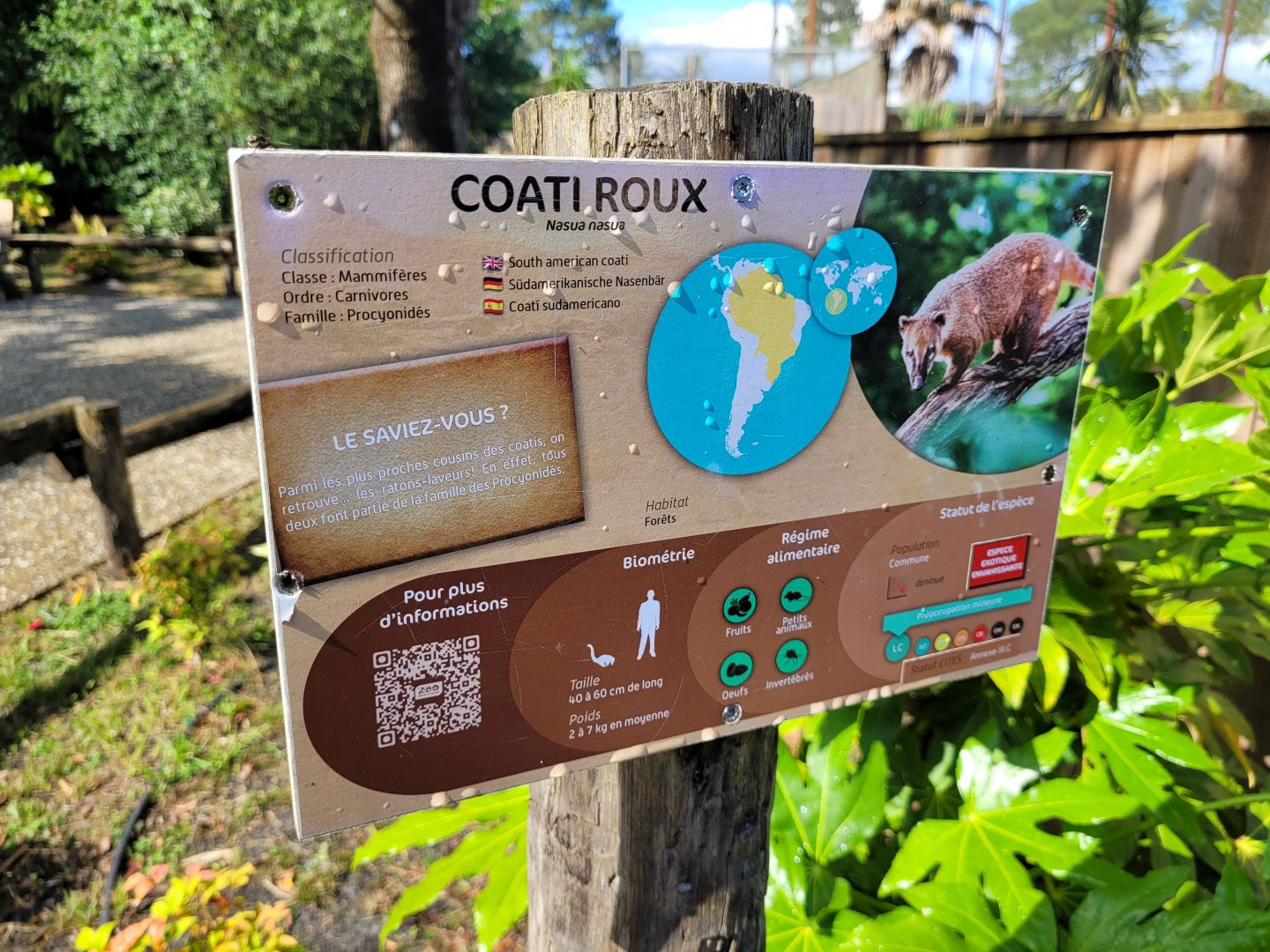 South American coati sign -Zoo du bassin d'Arcachon (2024)