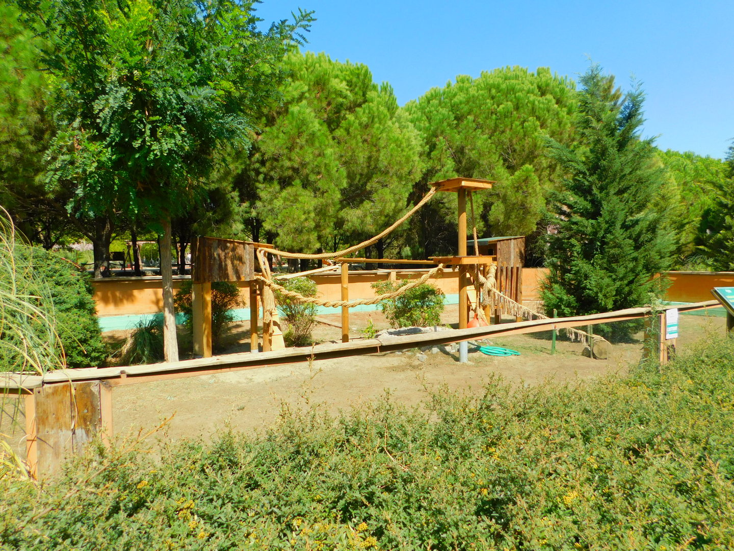 South American Coatimundi Enclosure