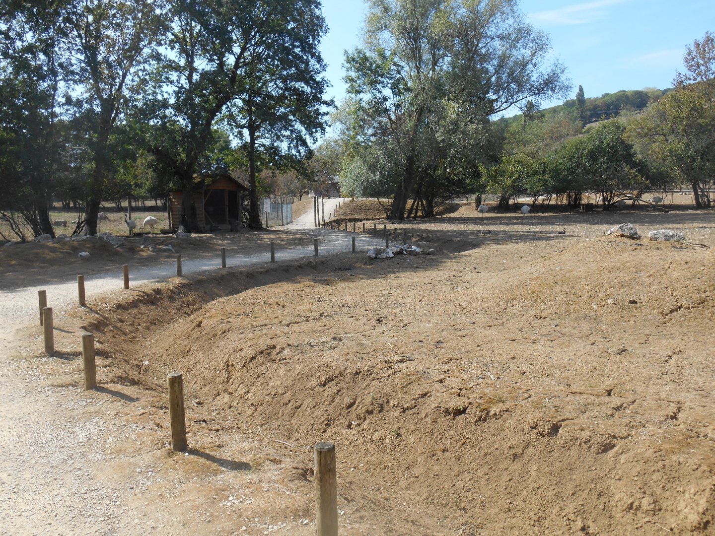 South American Contact Exhibit