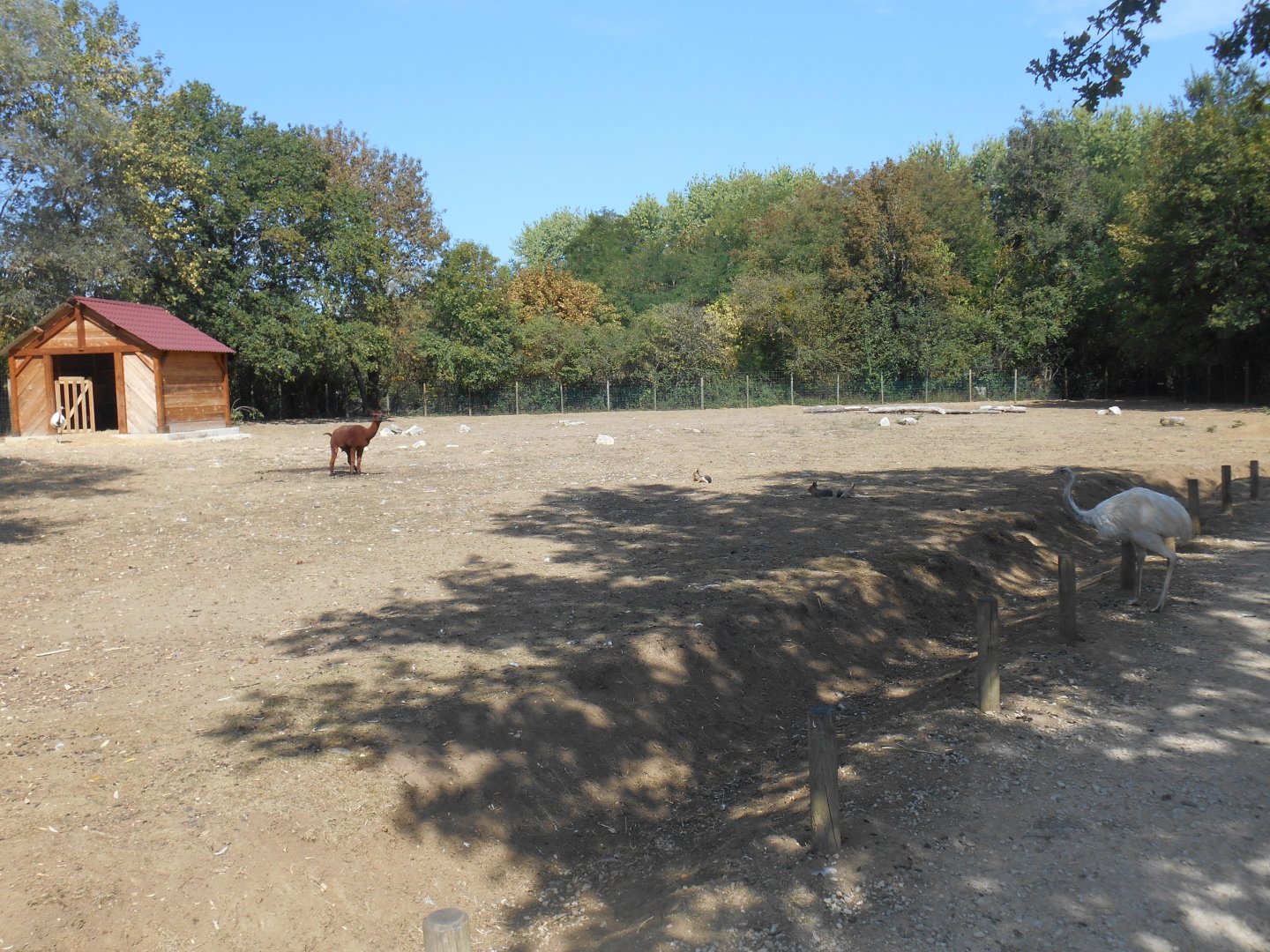 South American Contact Exhibit
