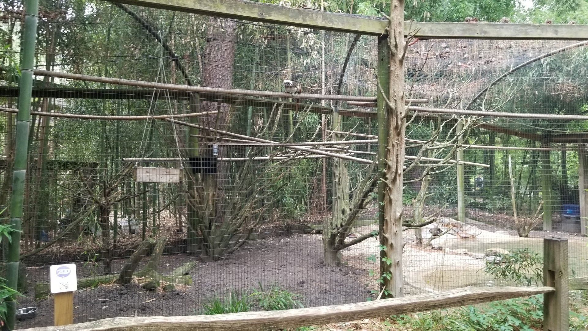 South American duck enclosure