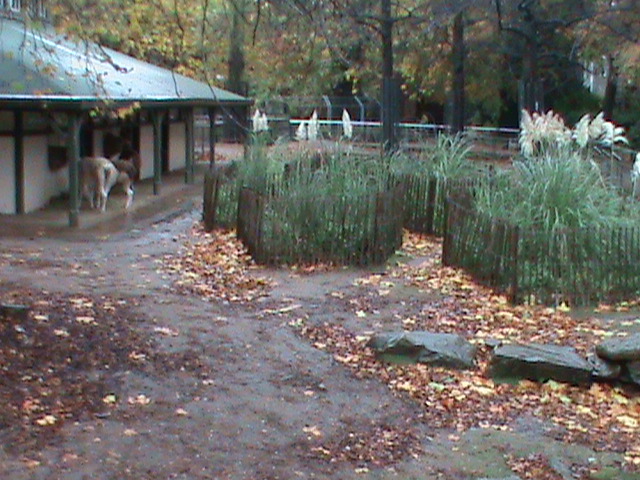 South American enclosure 061110