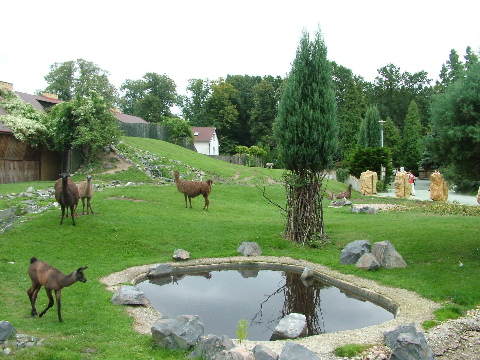 South American enclosure at Opole Zoo, Poland 2008