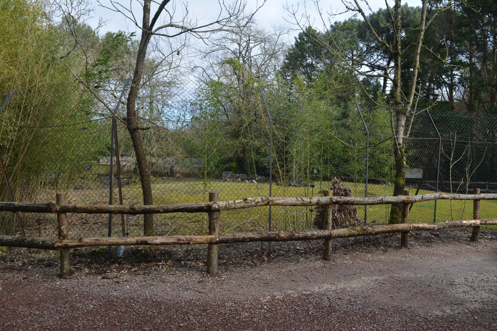 South american enclosure for capybaras, tapirs