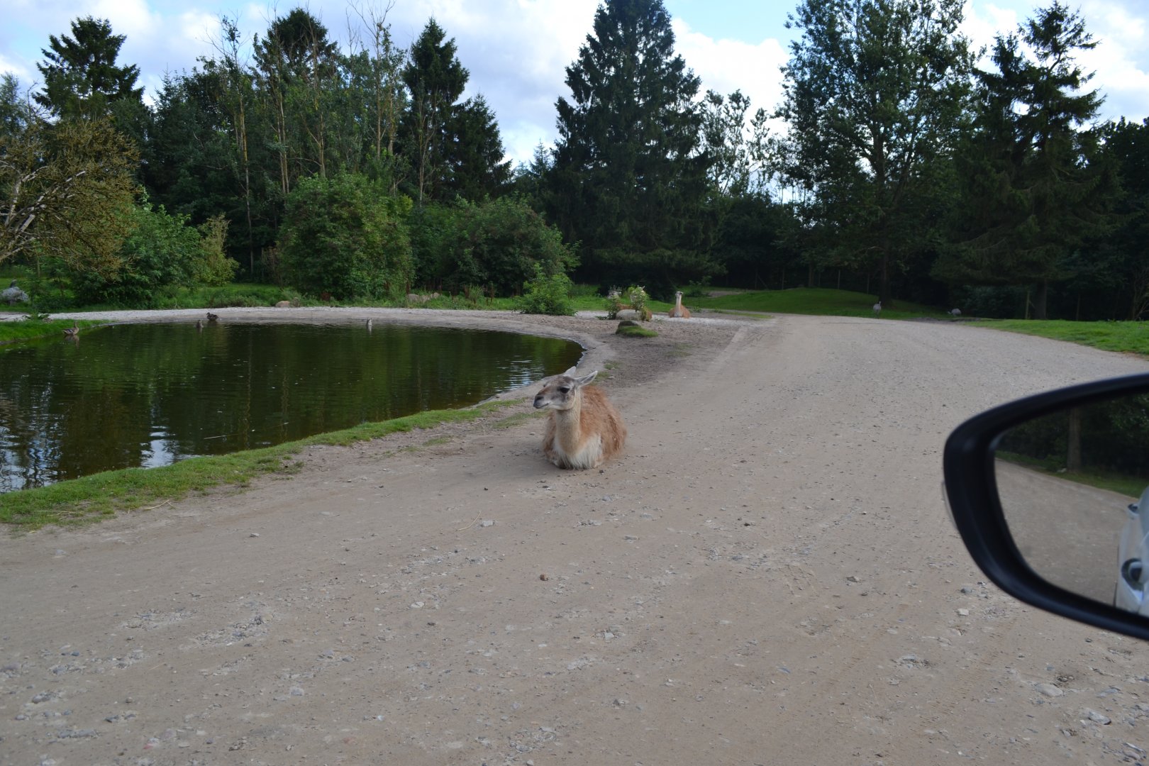 South American enclosure in Givskud Zoo