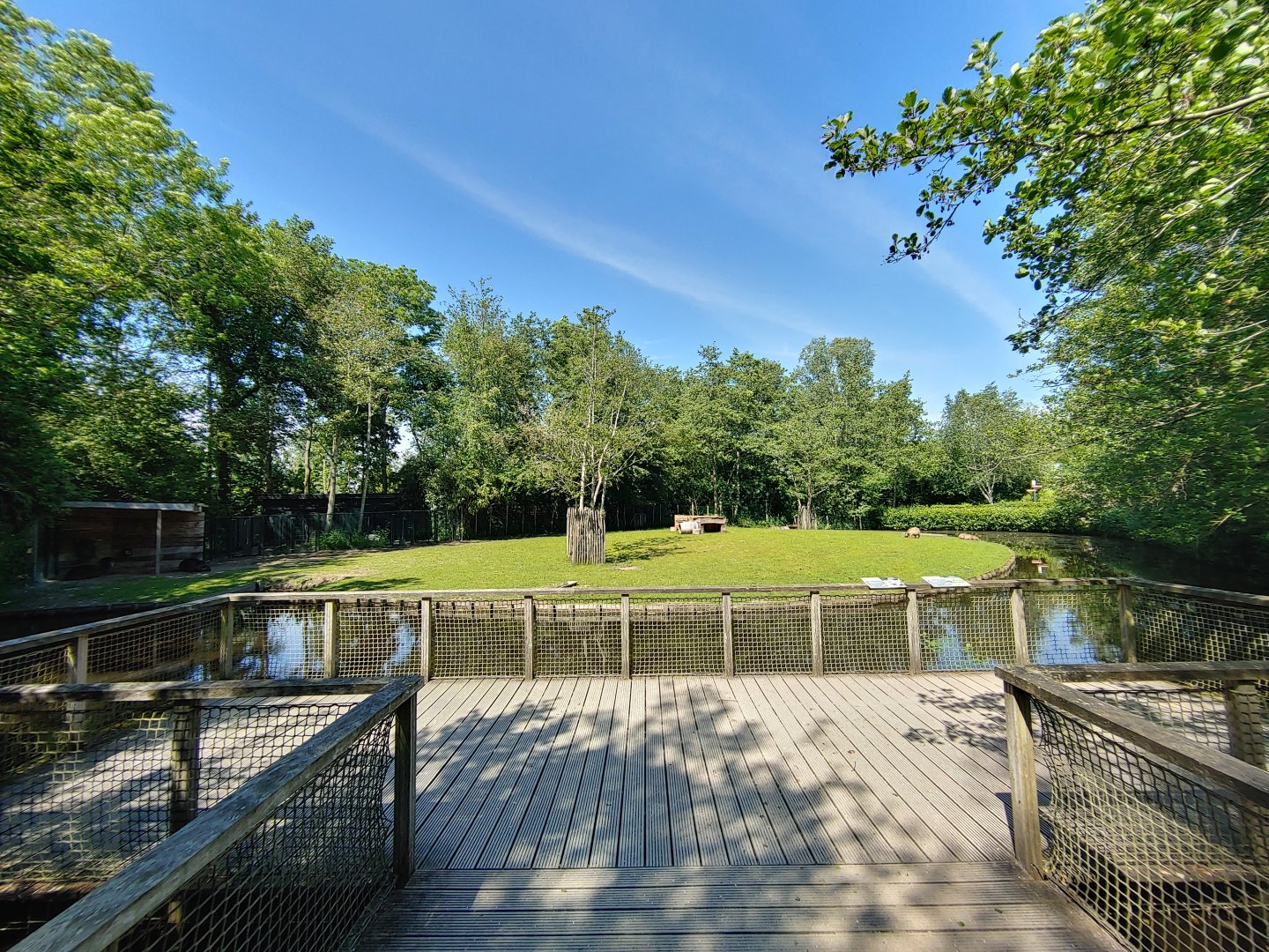 South american enclosure - viewing point