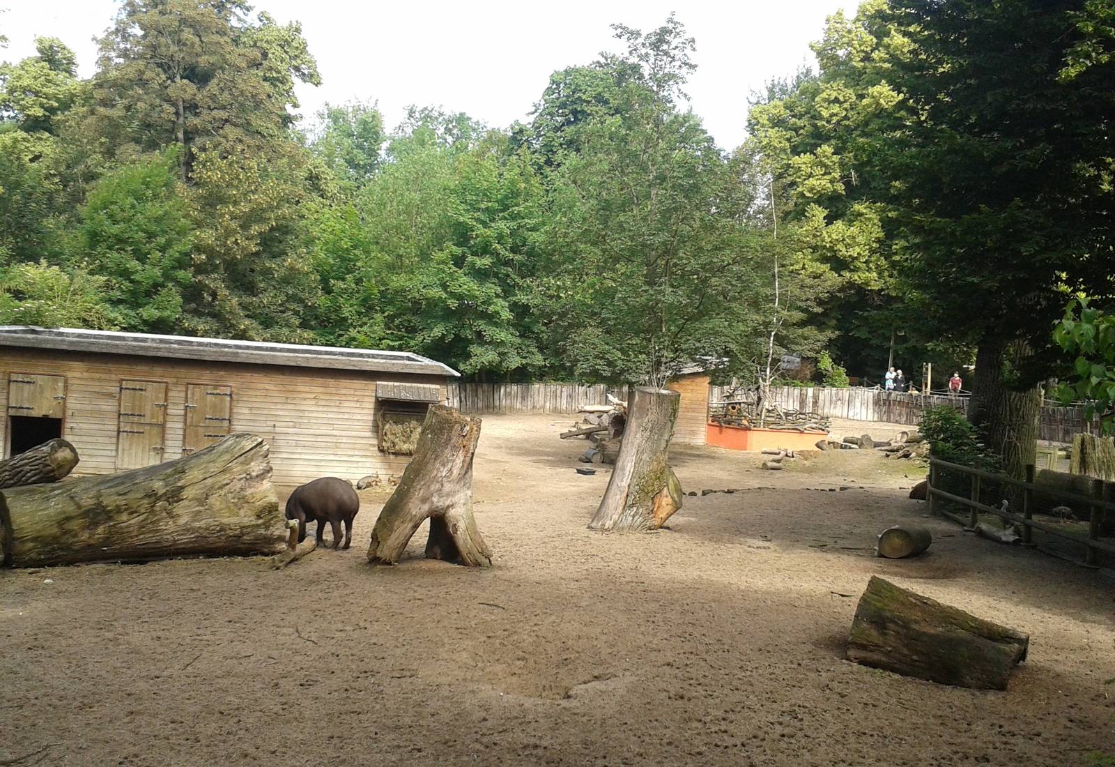 South american enclosure