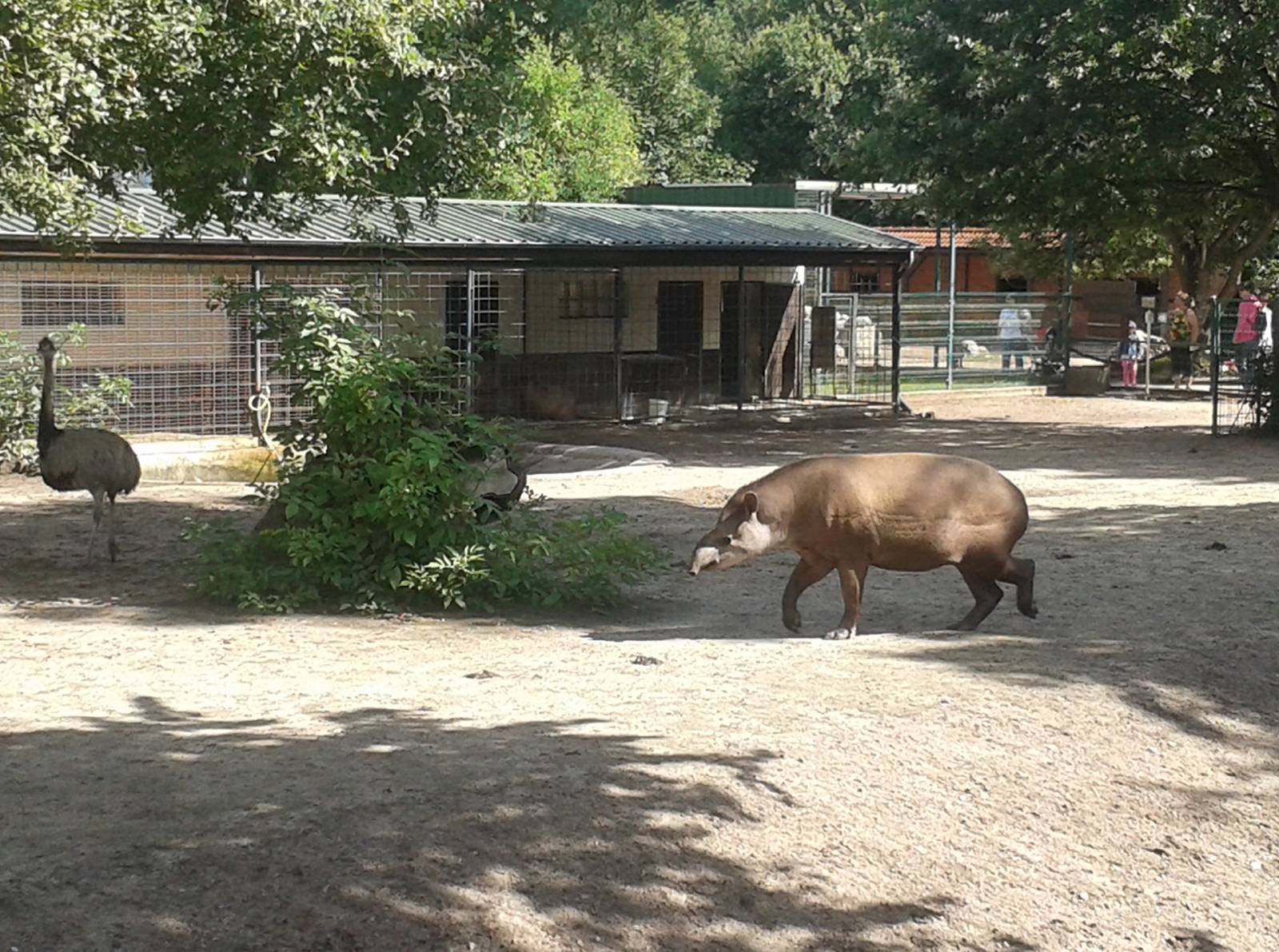 South american enclosure
