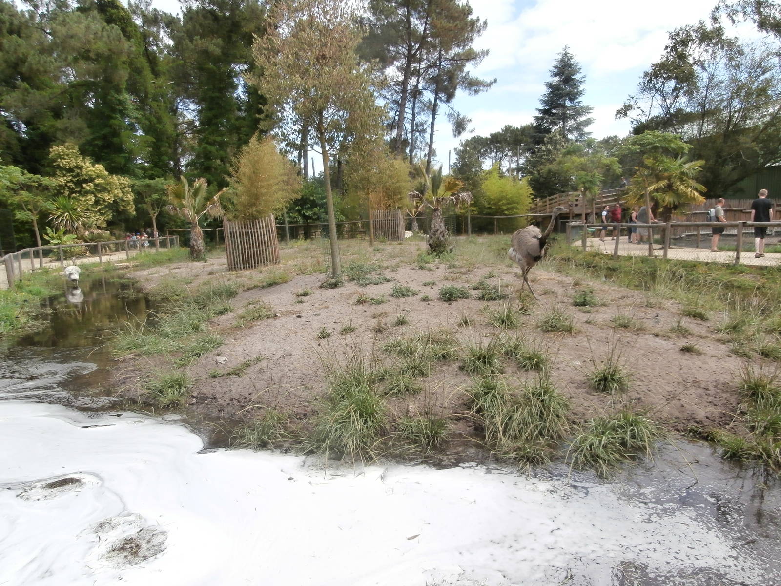 South American enclosure