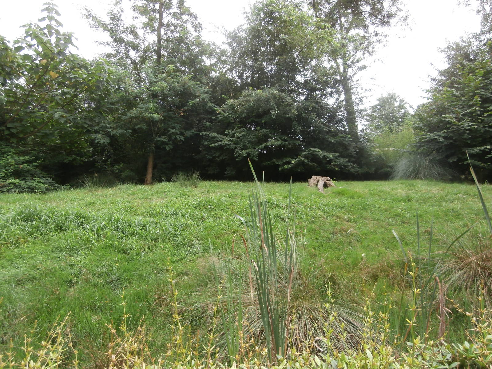 South American enclosure