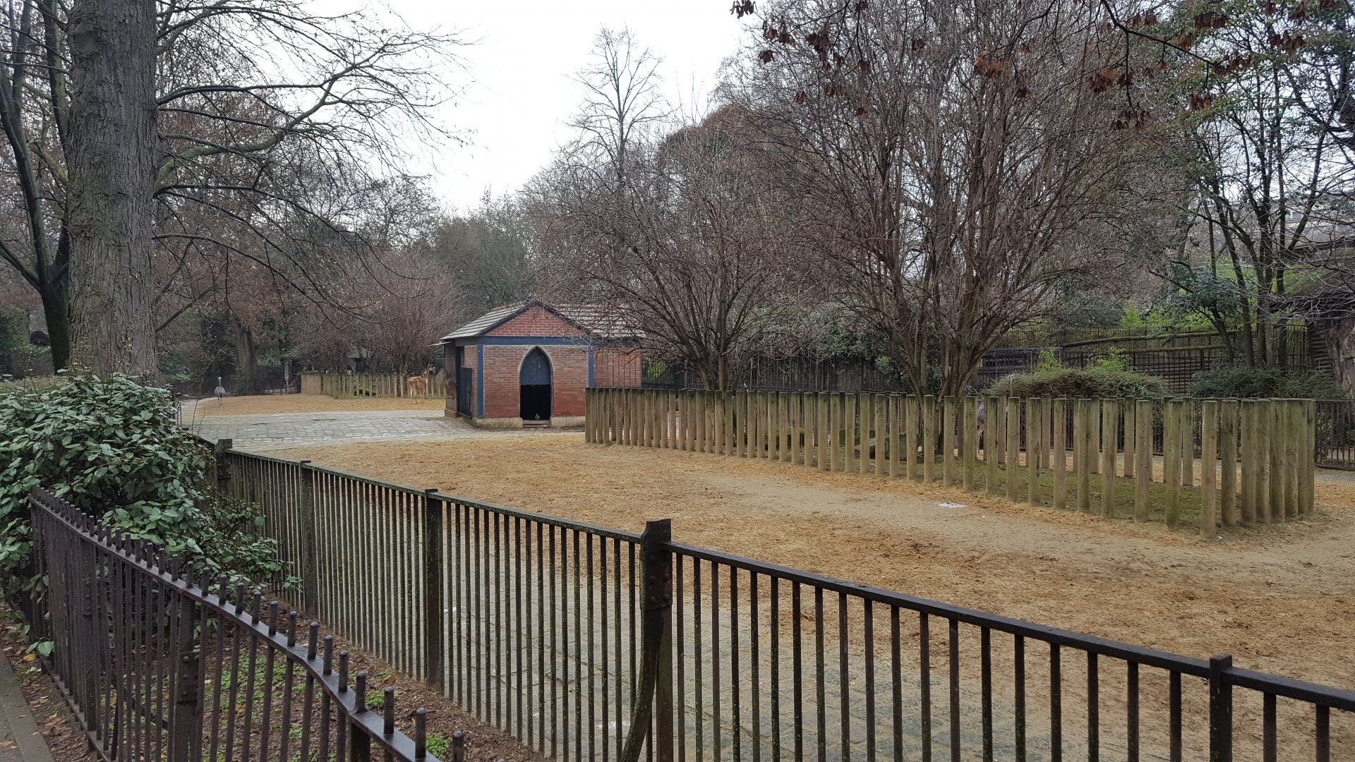south american enclosure