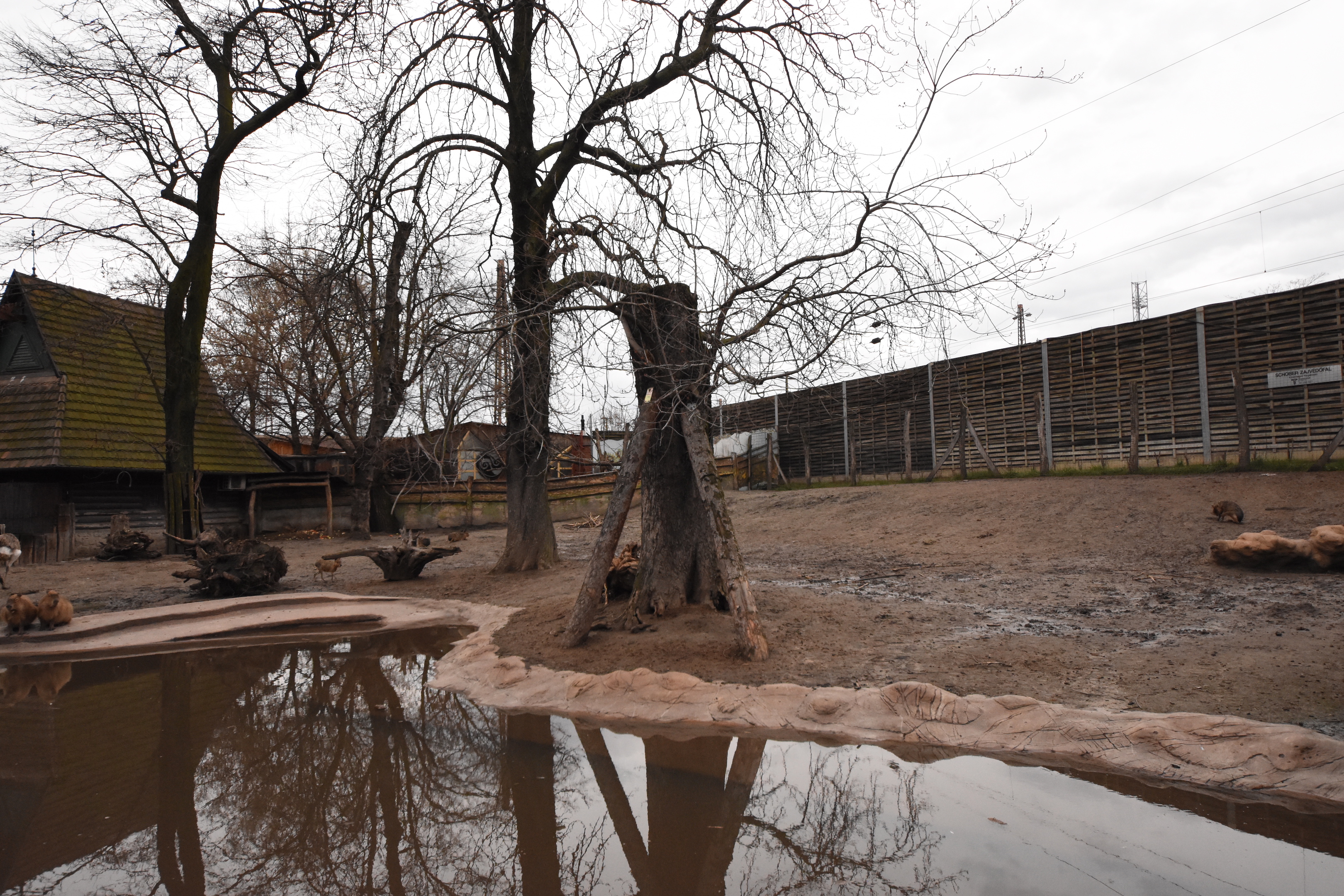 South-American enclosure