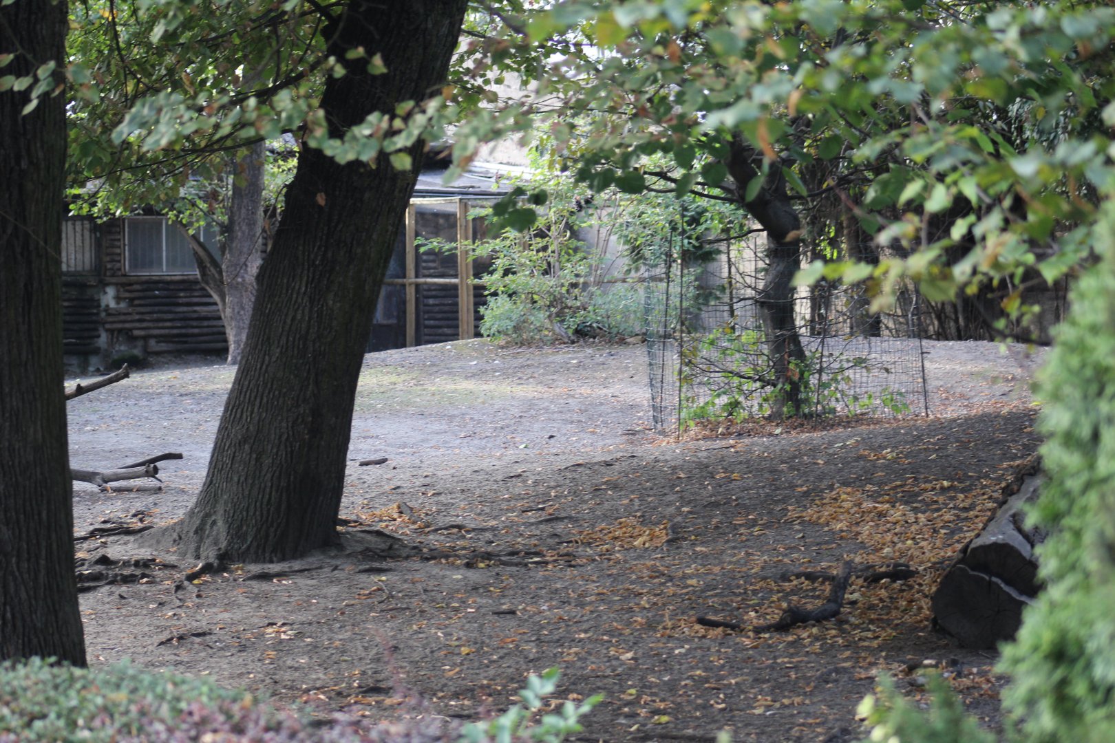 South American Enclosure