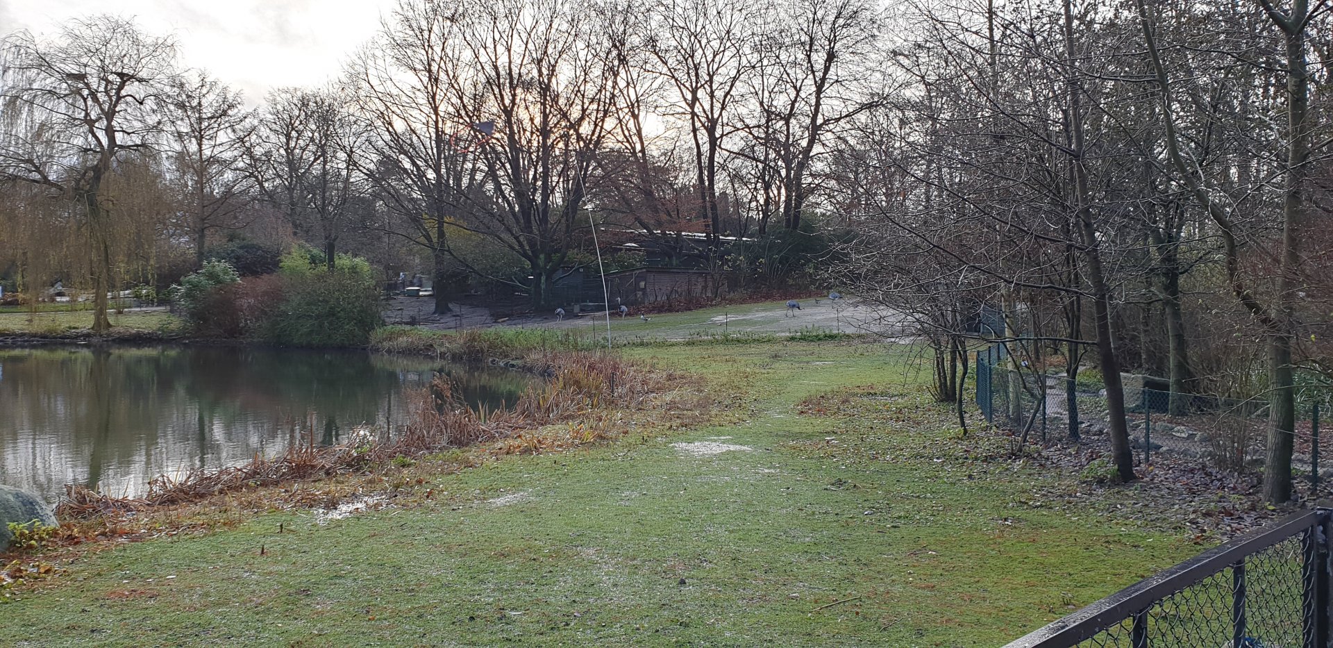 South American enclosure