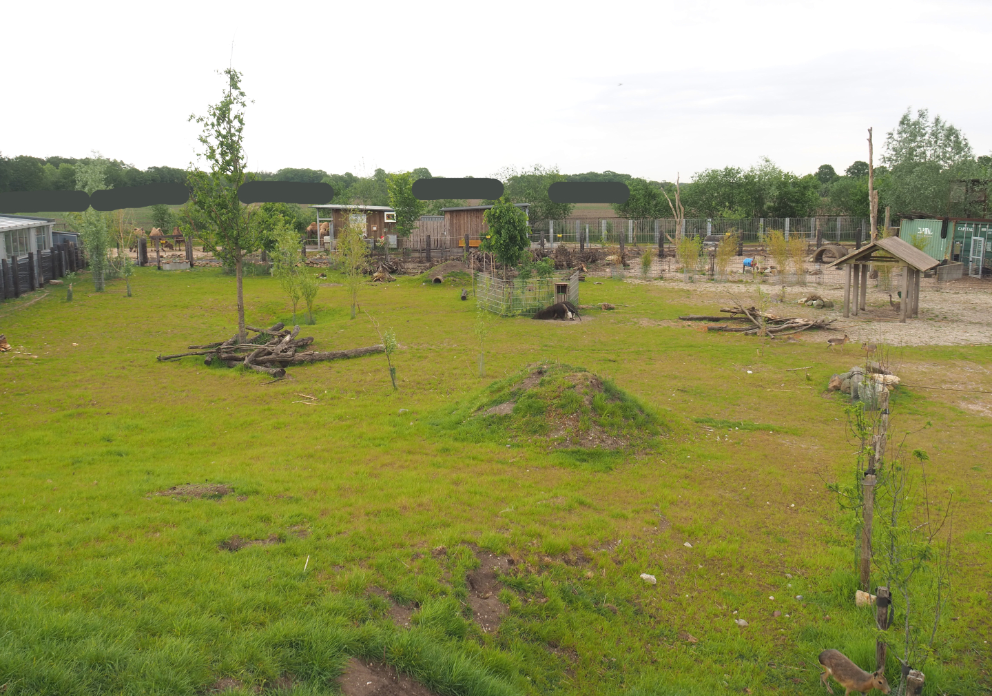 South American exhibit, 2022-05-17