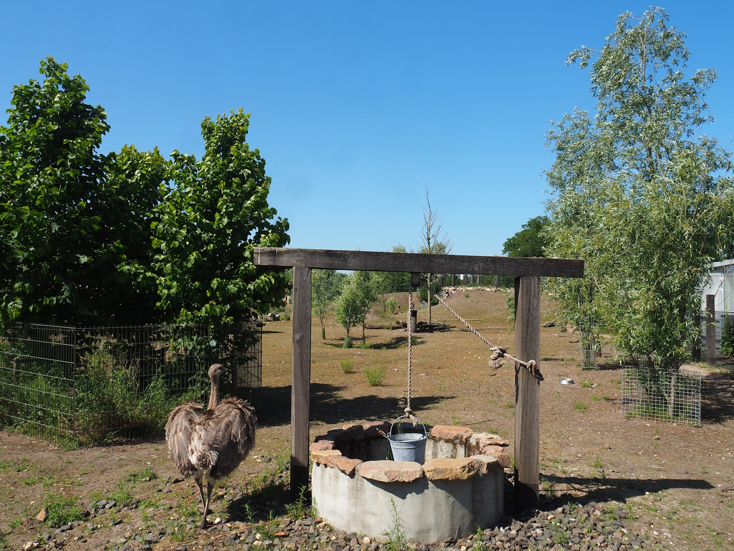 South American exhibit, 2023-05-31