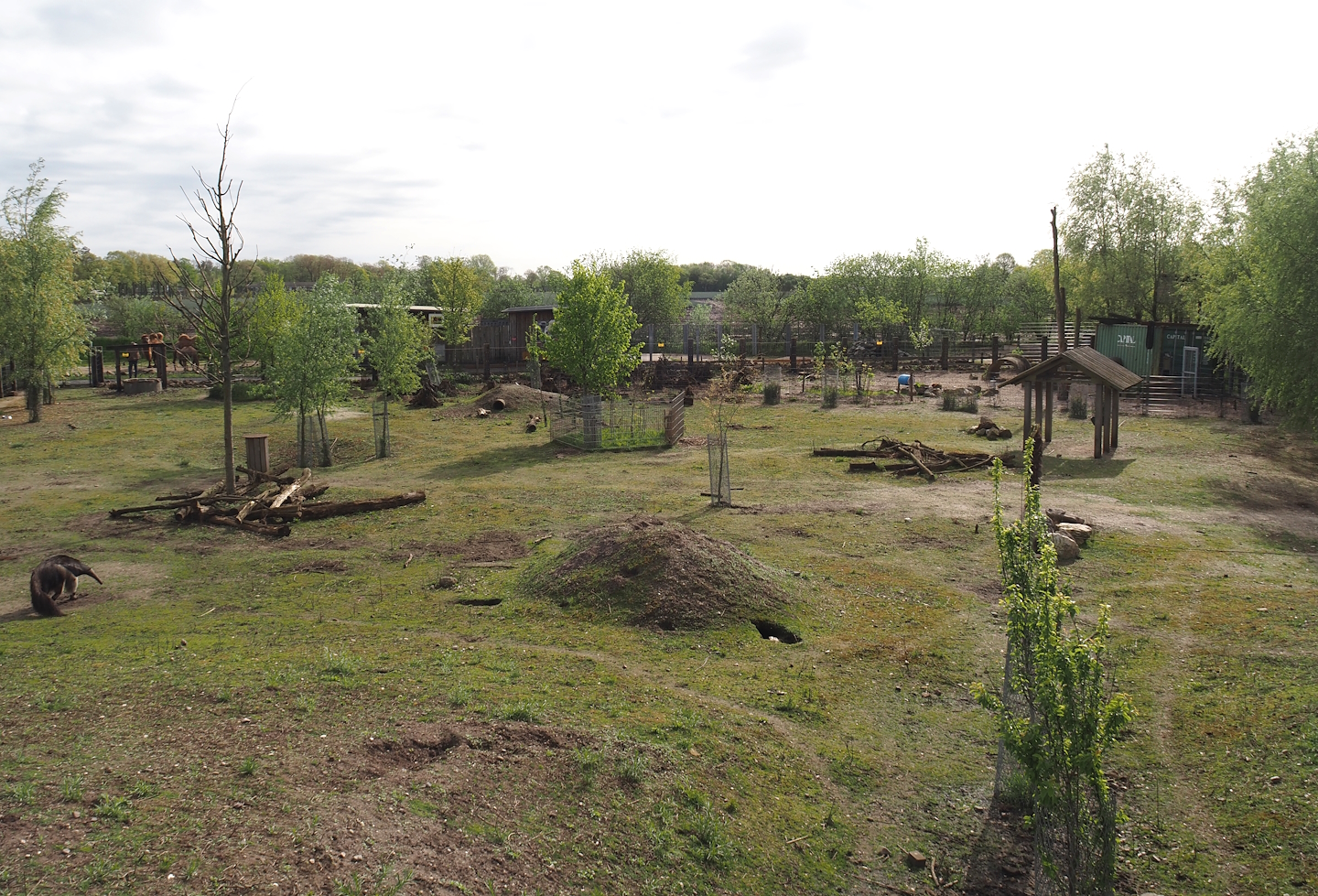 South American exhibit, 2024-04-14