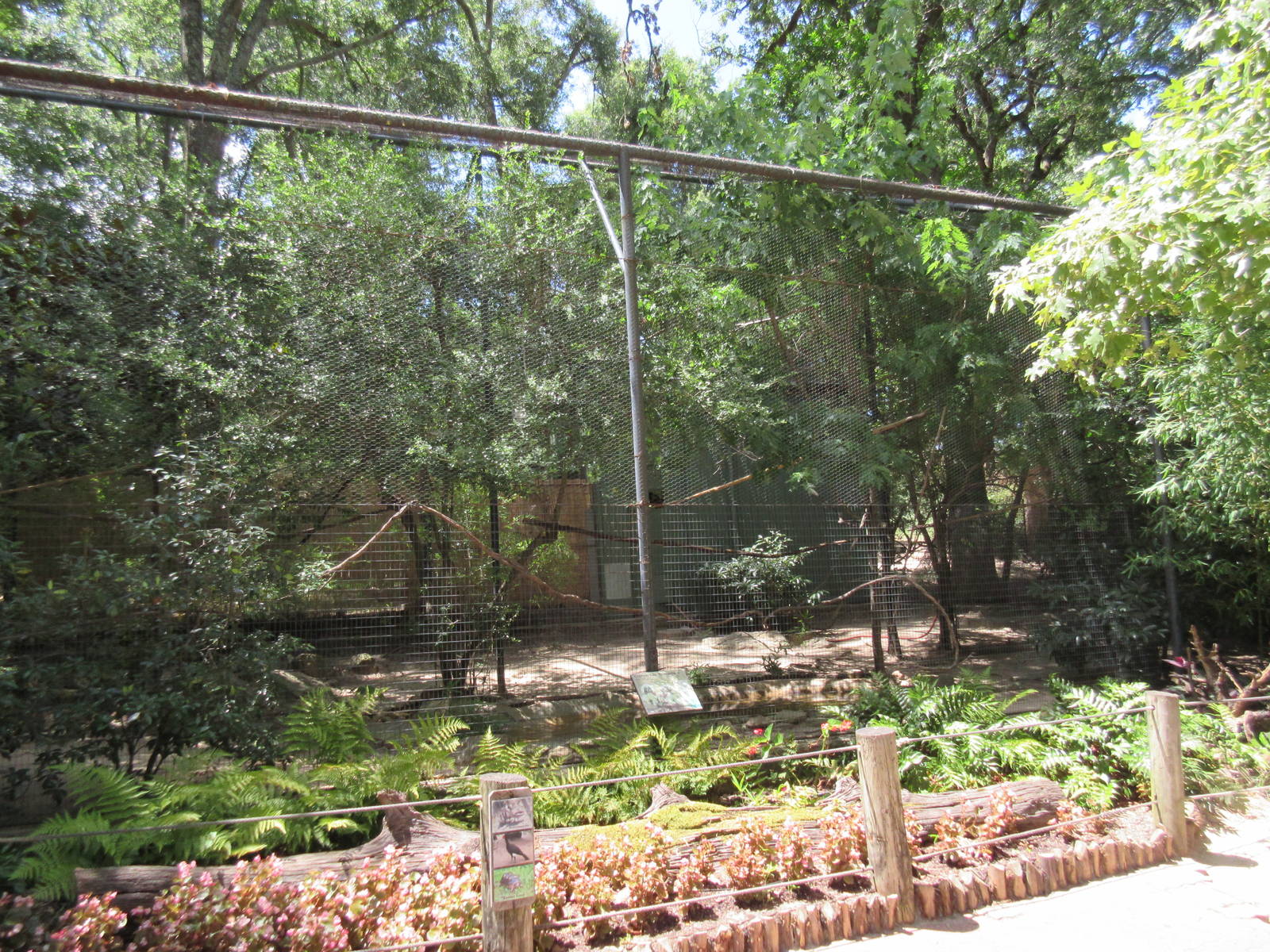 South American Exhibit (4 Species)