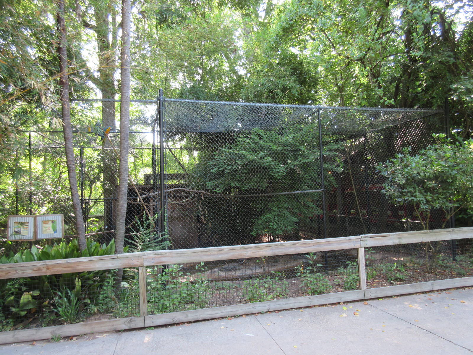 South American Exhibit (4 Species)