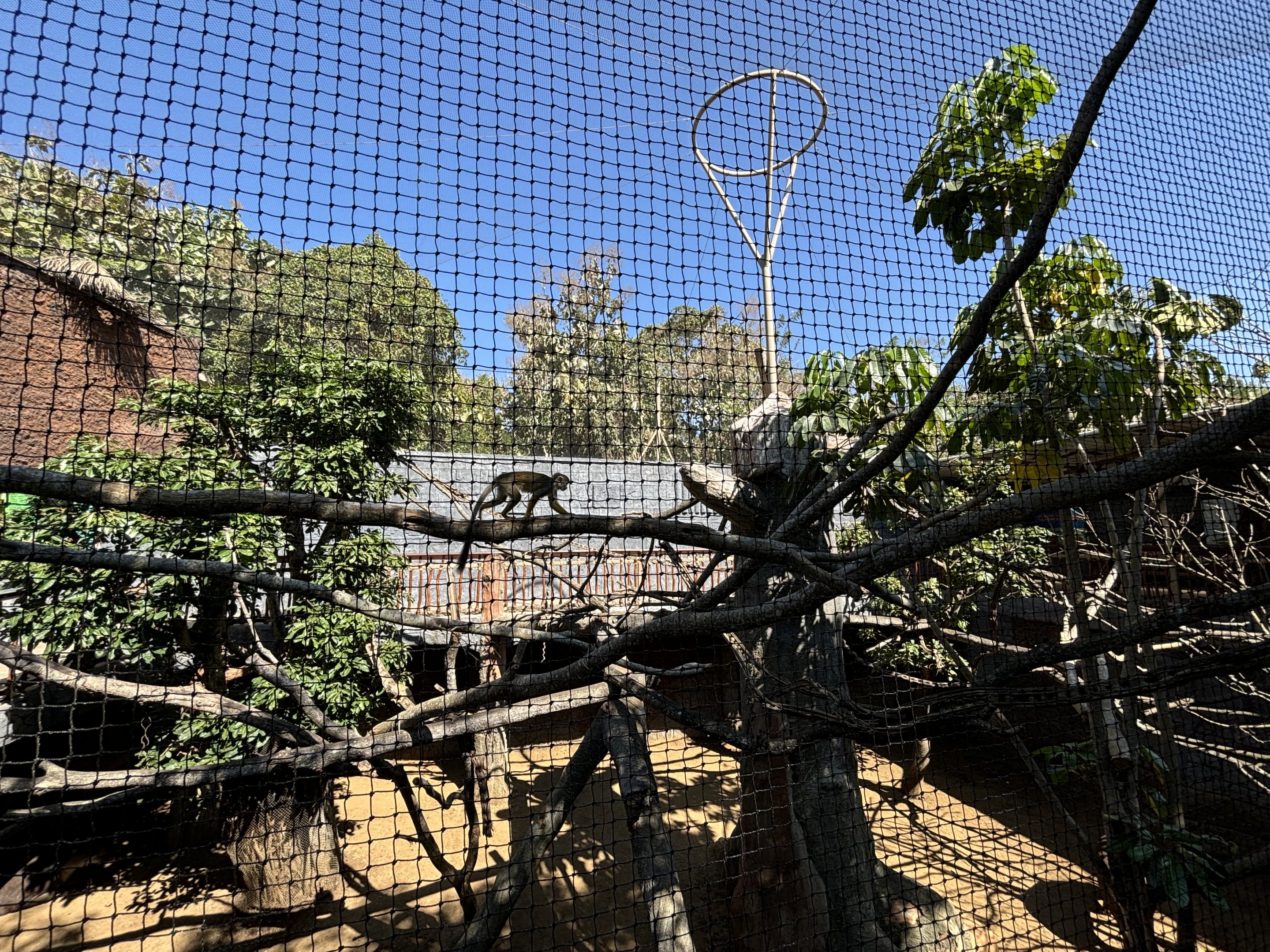 South American Exhibit (5 species)