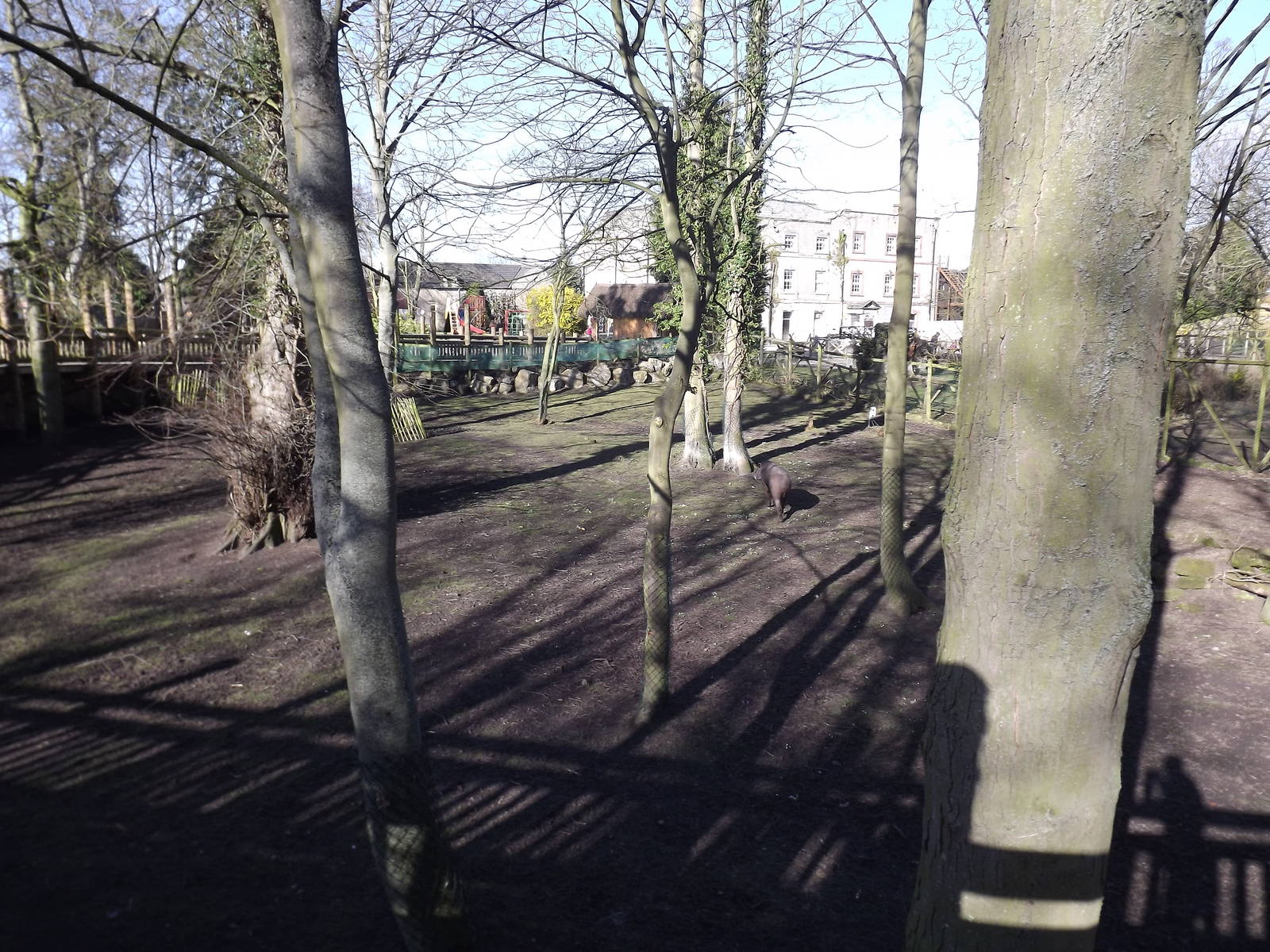 South American exhibit at Flamingoland 19/02/12