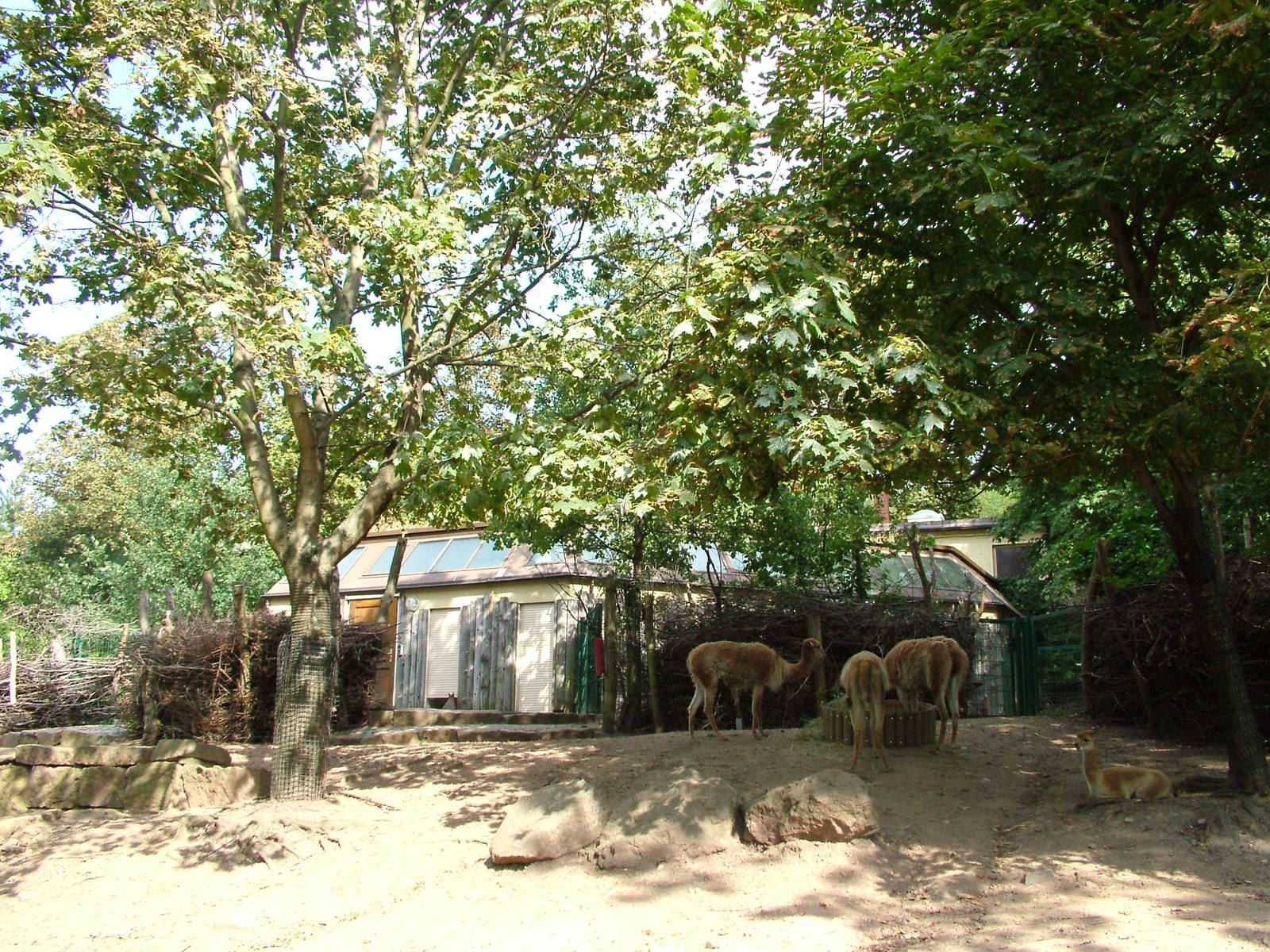 South American Exhibit at Halle, 04/09/11