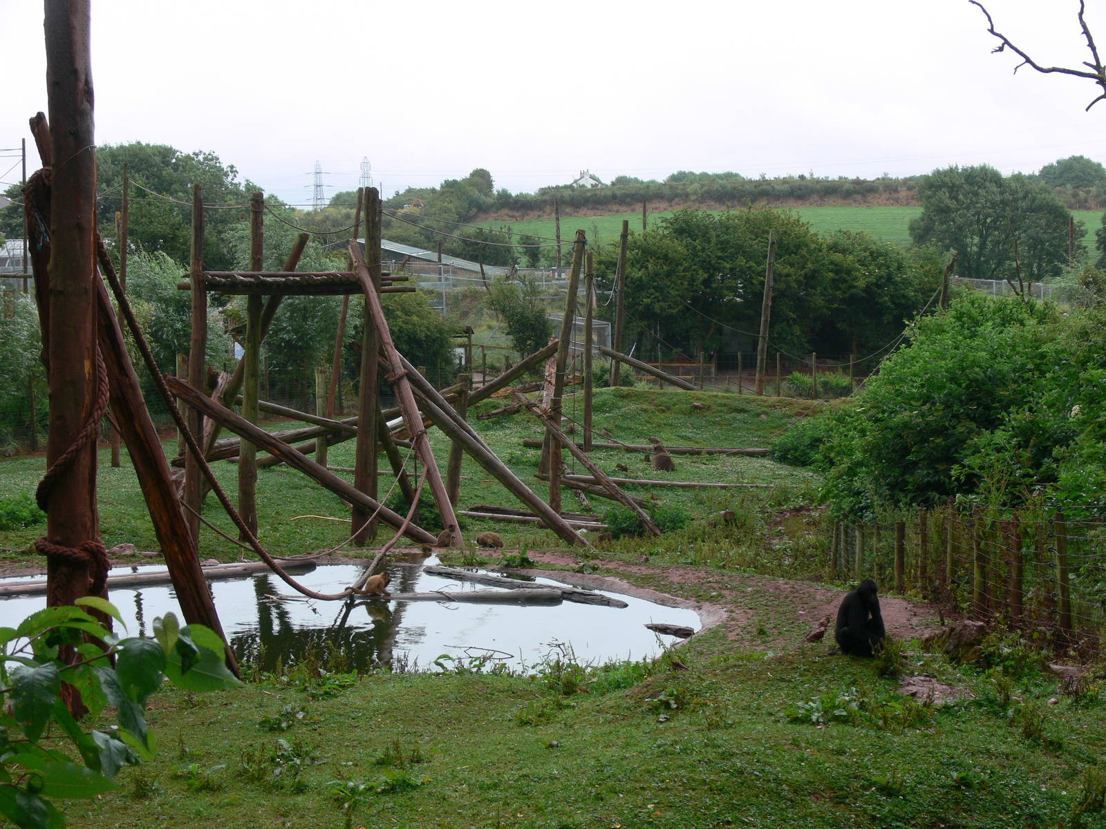 South American Exhibit at South Lakes, 04/07/14