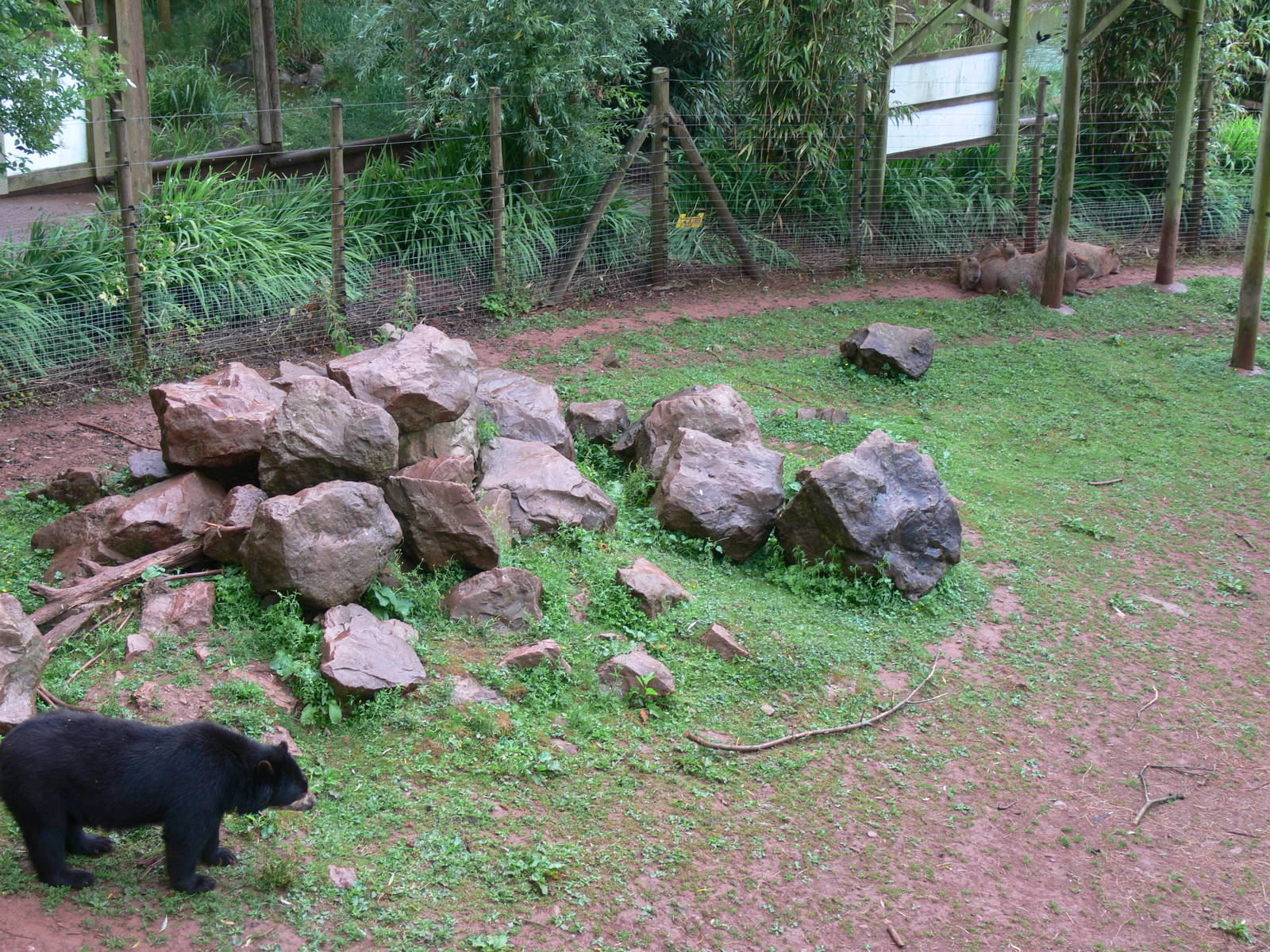 South American Exhibit at South Lakes, 04/07/14