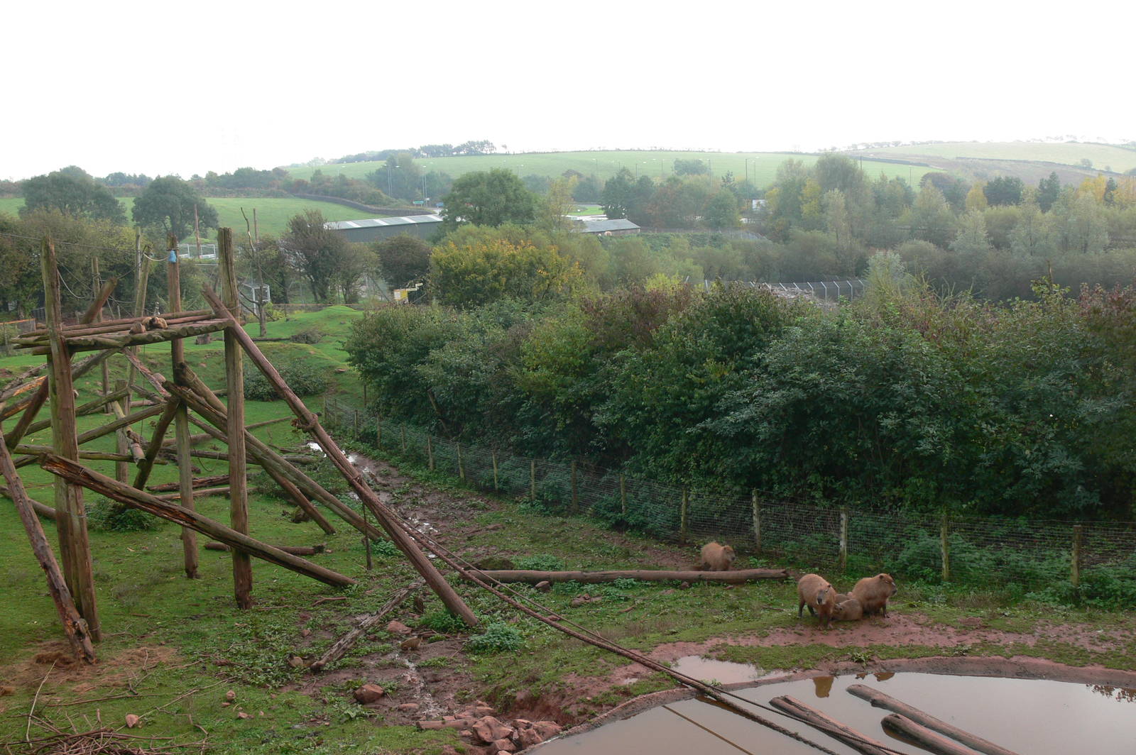 South American Exhibit at South Lakes, 11/10/14