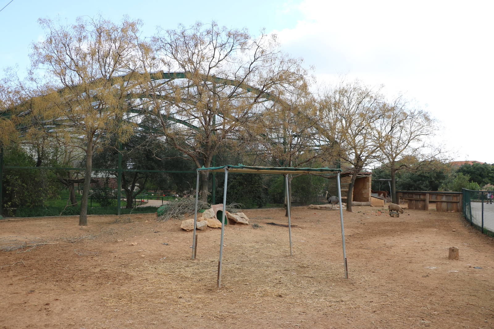 South American exhibit, February 2016