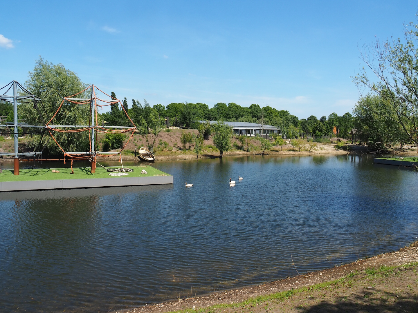 South American exhibit lake with future spider monkey island, 2023-05-31