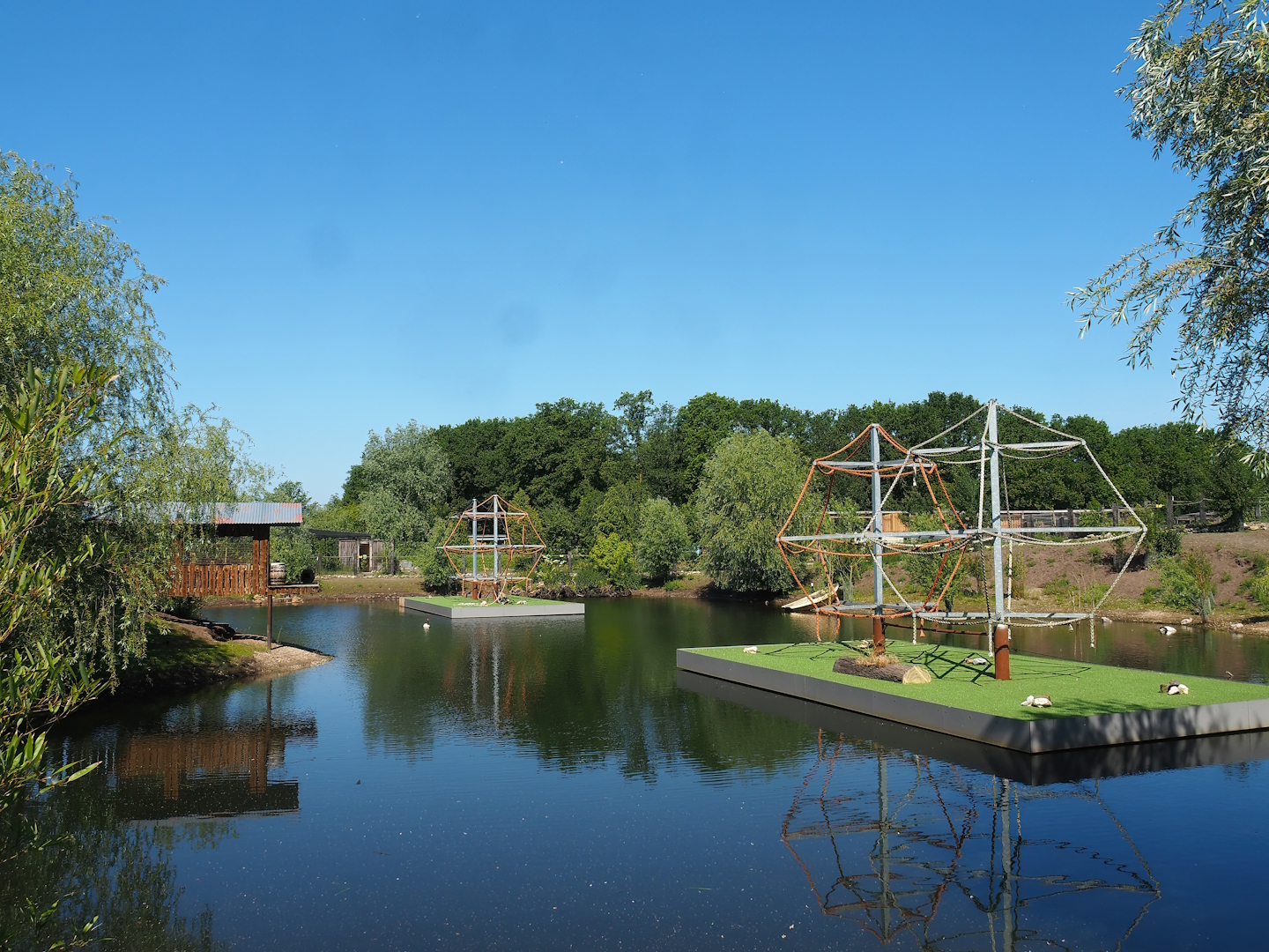 South American exhibit lake with future spider monkey islands, 2023-05-31