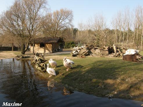 South American exhibit - Les Sables d'Olonne (France)