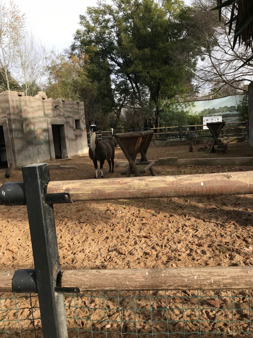 South American exhibit (pic 1)