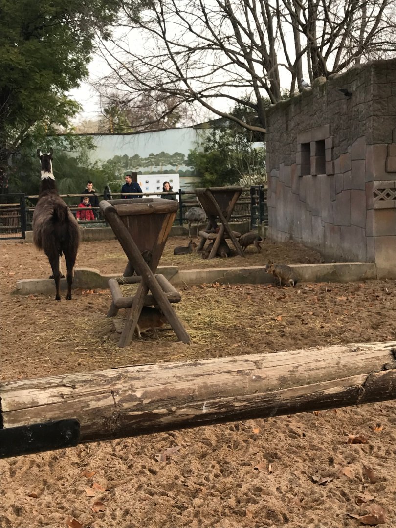 South American exhibit (pic 2)