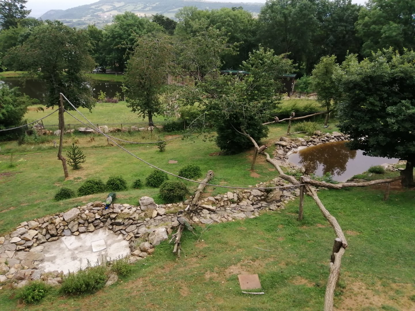 South American exhibit with 6 species