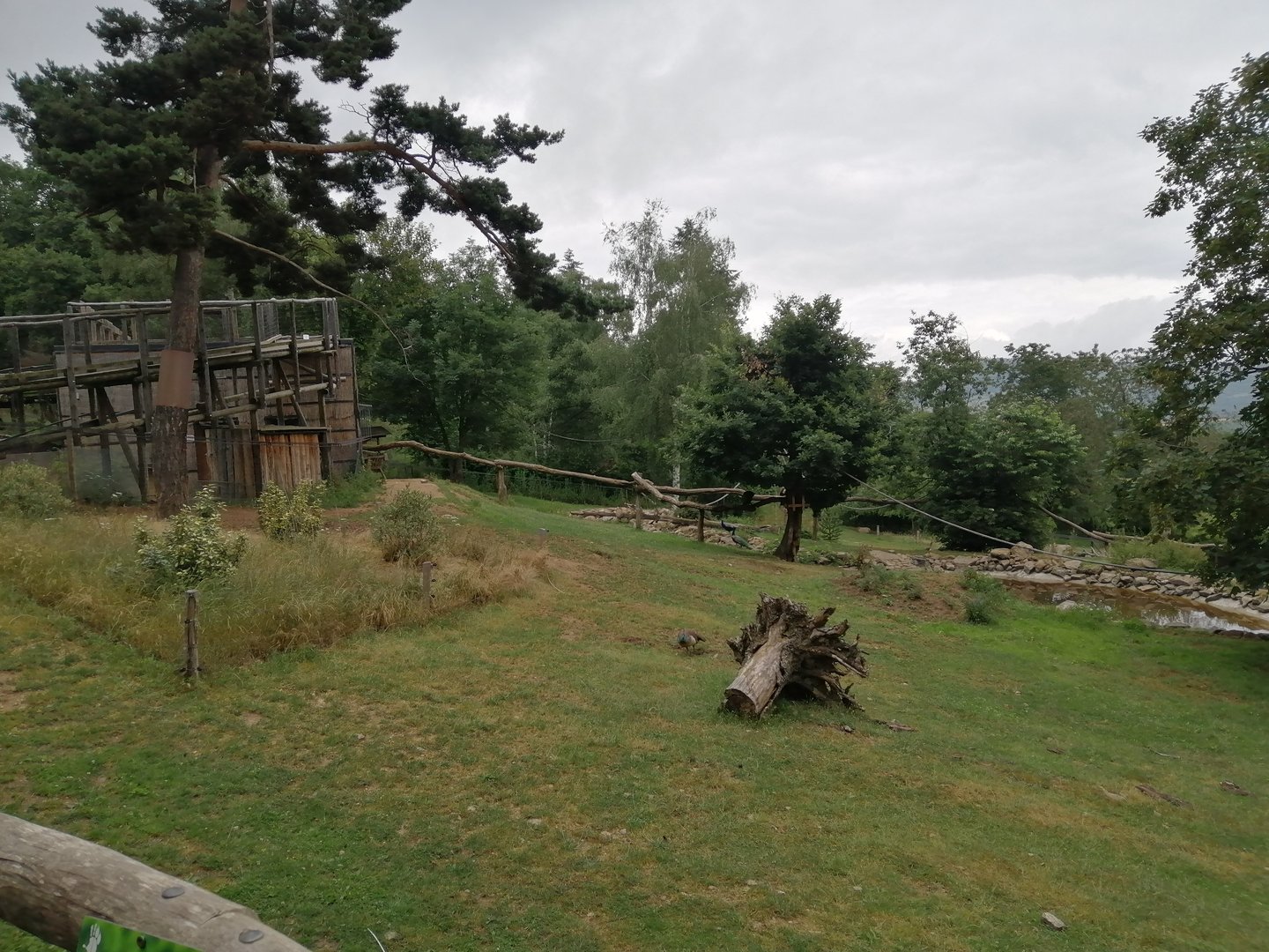 South American exhibit with 6 species