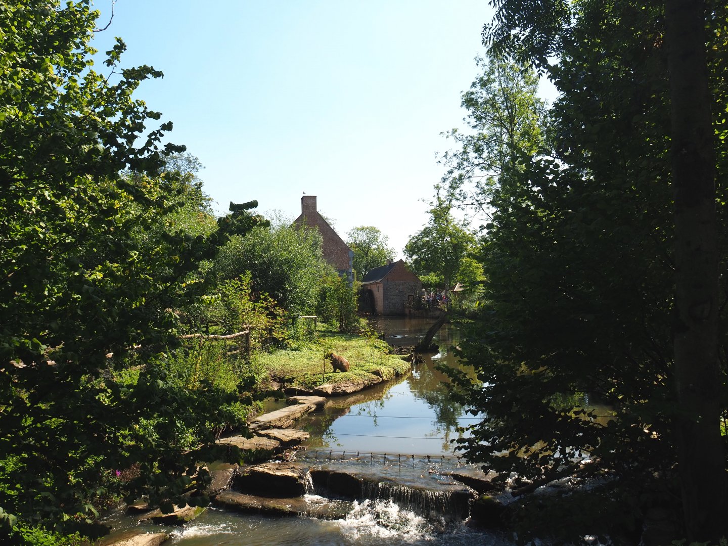 South American exhibit with Brazilian tapir, Capybara and Giant anteater on the bank of the Dender river, 2021-09-03