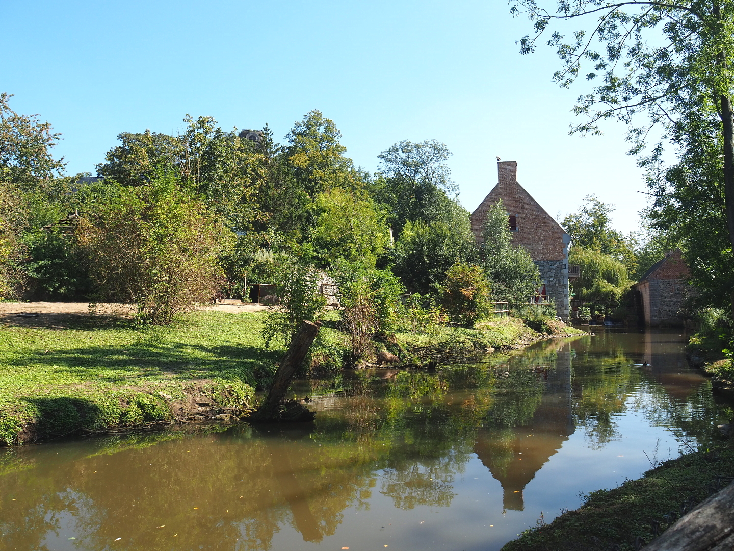 South American exhibit with Brazilian tapir, Capybara and Giant anteater on the bank of the Dender river, 2021-09-03