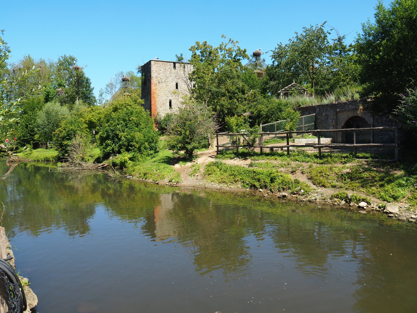 South American exhibit with Capybaras, Lowland tapirs and Giant anteaters on the bank of the Dender river, 2022-06-28