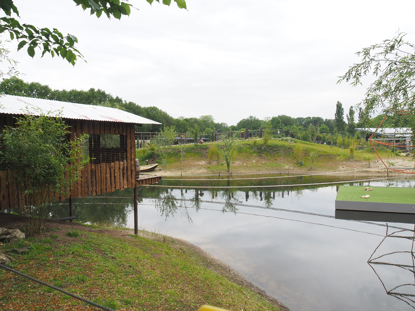 South American exhibit with future spider monkey outdoor exhibit, 2022-05-17