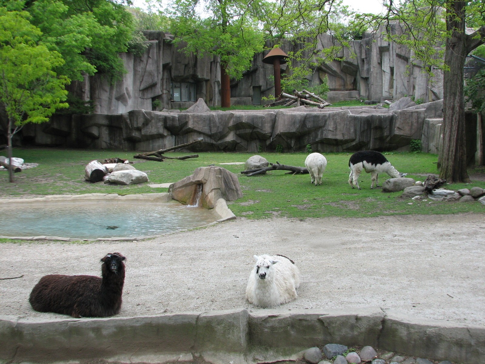South American Exhibit with Jaguar Exhibit in background