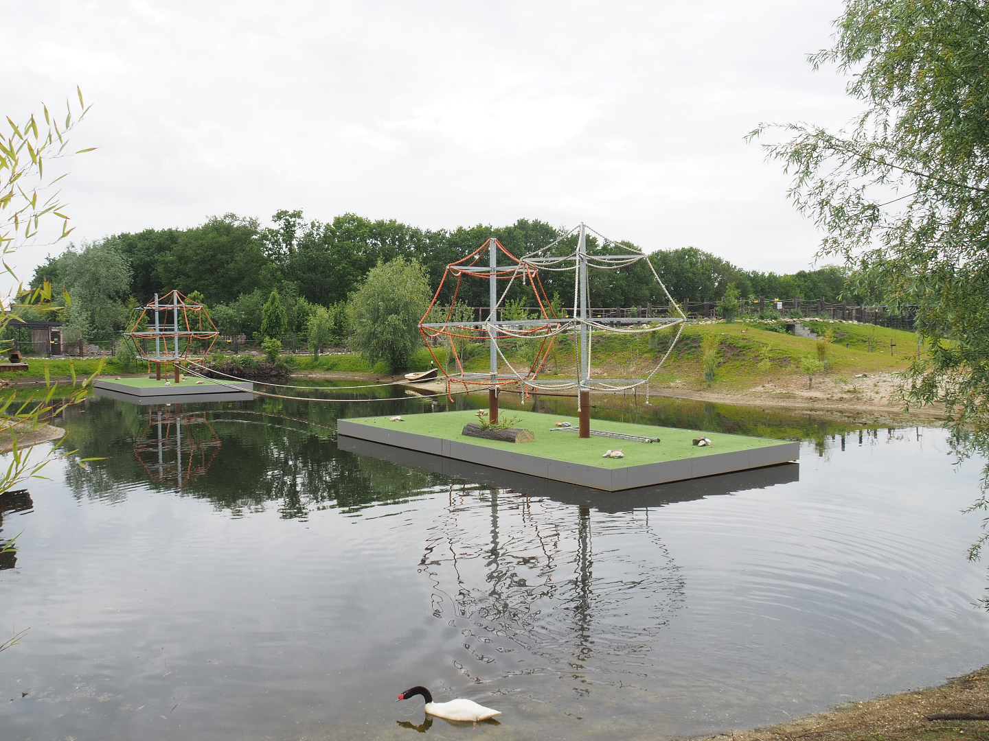 South American exhibit with new floating islands for future spider monkey exhibit, 2022-05-17
